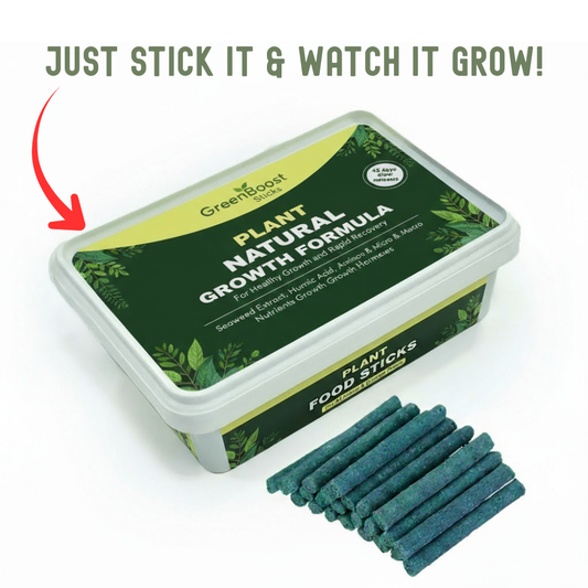 GreenBoost Sticks (50 Sticks)