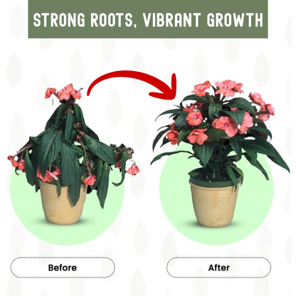 GreenBoost Sticks (50 Sticks)