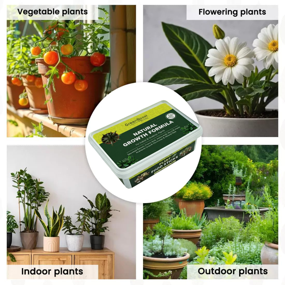 GreenBoost Sticks (50 Sticks)