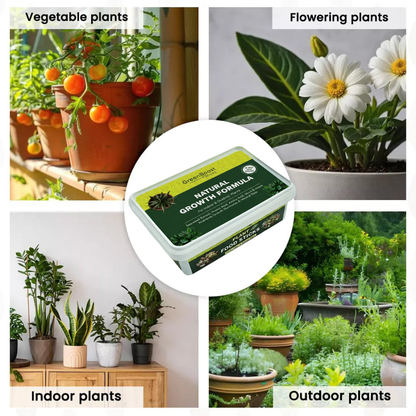 GreenBoost Sticks (50 Sticks)