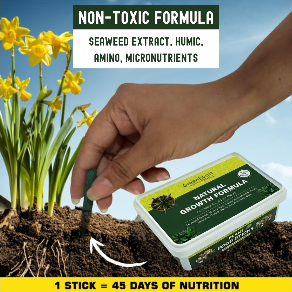 GreenBoost Sticks (50 Sticks)